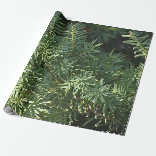 Pine Forest Wrapping Paper (Unrolled)