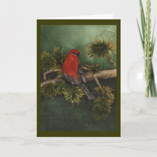 Pine Grosbeak Christmas Card