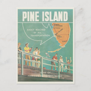 Pine Island and Matlacha Florida vintage Postcard