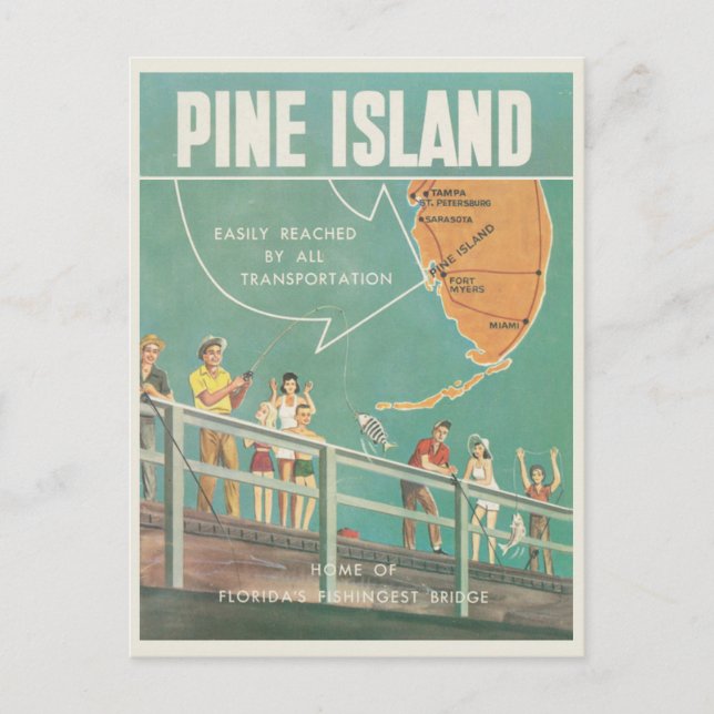 Pine Island and Matlacha Florida vintage Postcard (Front)