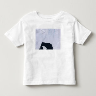 Pine Island Glacier Toddler T-Shirt