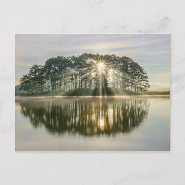 Pine Island Sunray Postcard (Front)