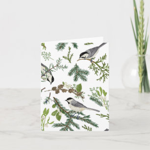 Pine leaves bird  card