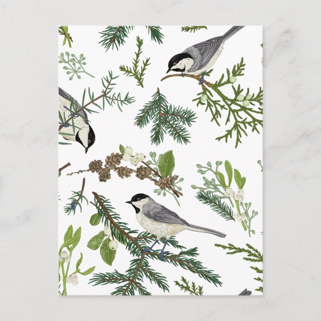 Pine leaves bird  postcard (Front)