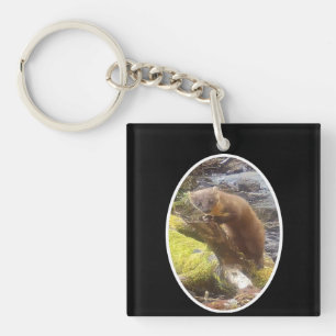 Pine Marten British Wildlife Art Nature Themed Key Ring