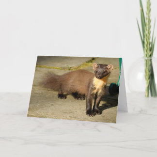 Pine marten Folded Greeting Card