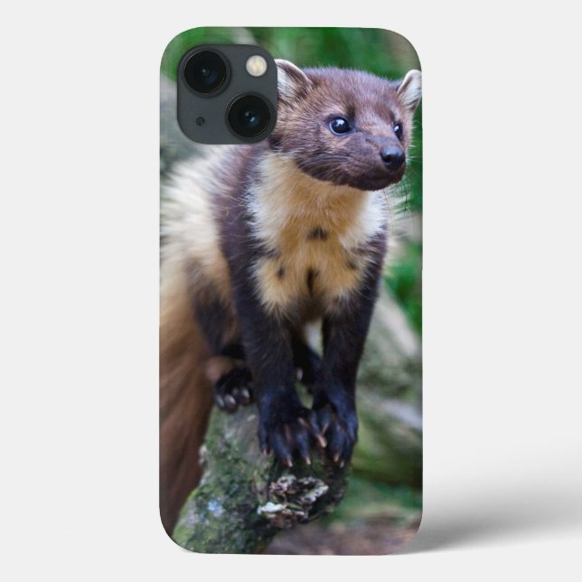 Pine Marten iPad Case (Back)
