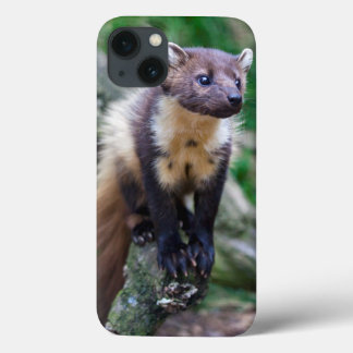 Pine Marten iPad Mini Case