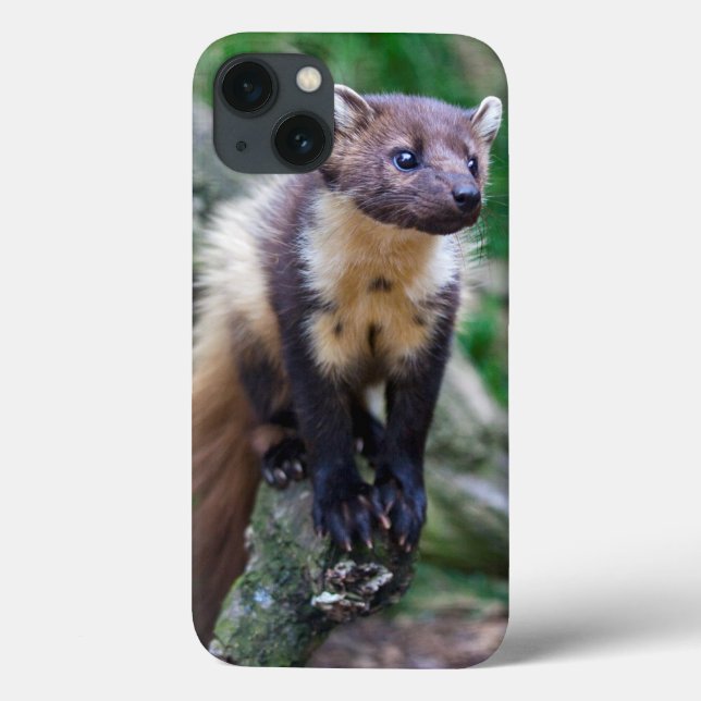 Pine Marten iPad Mini Case (Back)