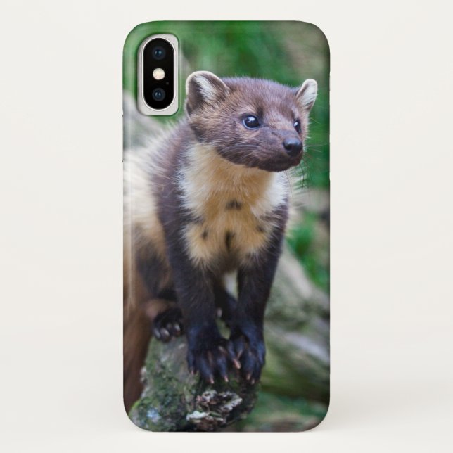 Pine Marten iPhone X Case (Back)
