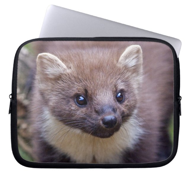 Pine Marten Laptop Sleeve (Front)