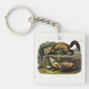 Pine Marten (Mustela Martes) American Marten Key Ring