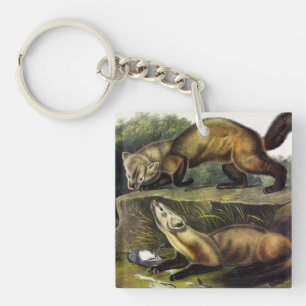 Pine Marten (Mustela Martes) American Marten Key Ring