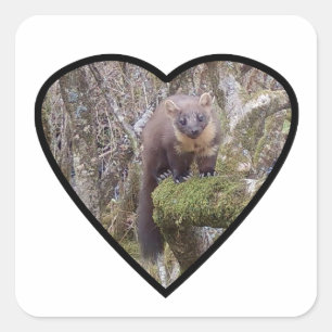 Pine Marten On Log Forest Wildlife Animal Art Square Sticker
