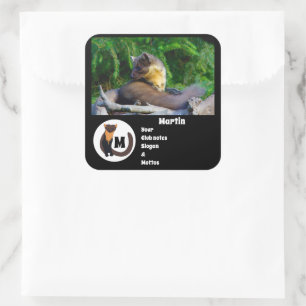 Pine Marten Photo Monogram Name Square Sticker