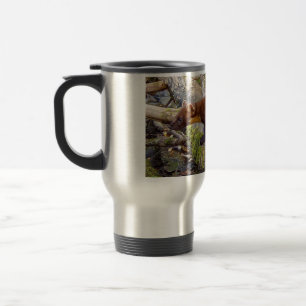 Pine Marten Wild Mammal Tree Log Nature Photograph Travel Mug