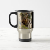 Pine Marten Wildlife Forest Log Woodland Nature