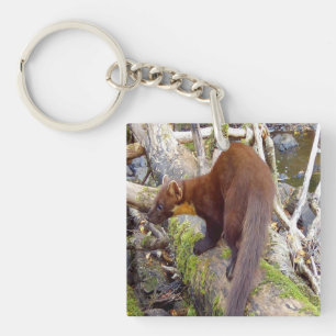 Pine Marten Woodland Wildlife Gift Rustic Nature  Key Ring