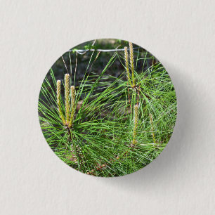 Pine Needles by Kenneth Yoncich 3 Cm Round Badge