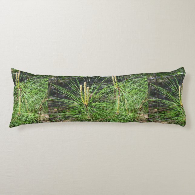 Pine Needles by Kenneth Yoncich Body Cushion (Front)
