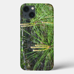 Pine Needles by Kenneth Yoncich iPhone 13 Case