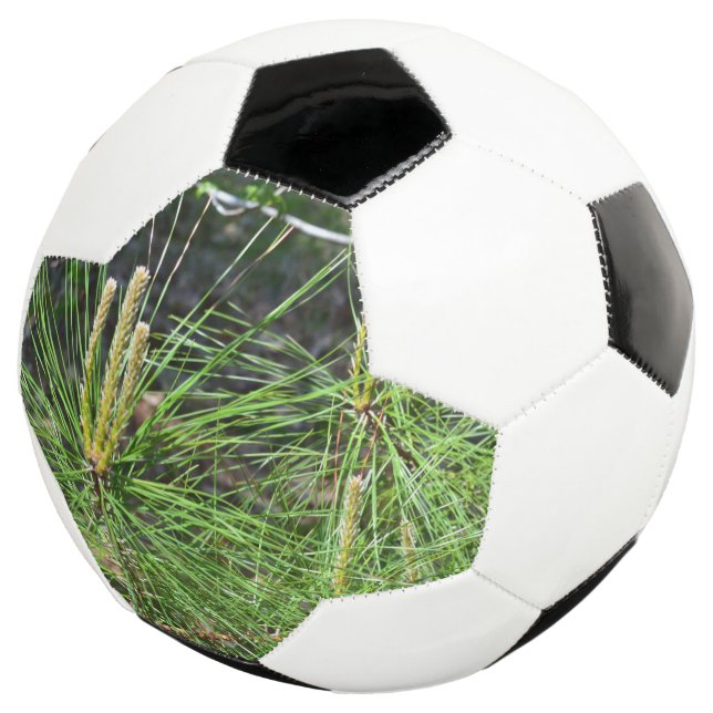 Pine Needles by Kenneth Yoncich Football (Three Quarter)