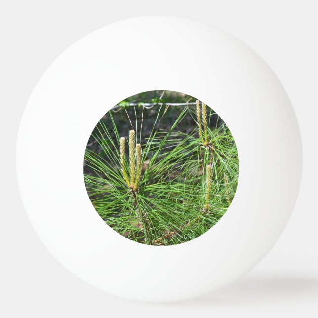 Pine Needles by Kenneth Yoncich Ping Pong Ball (Front)