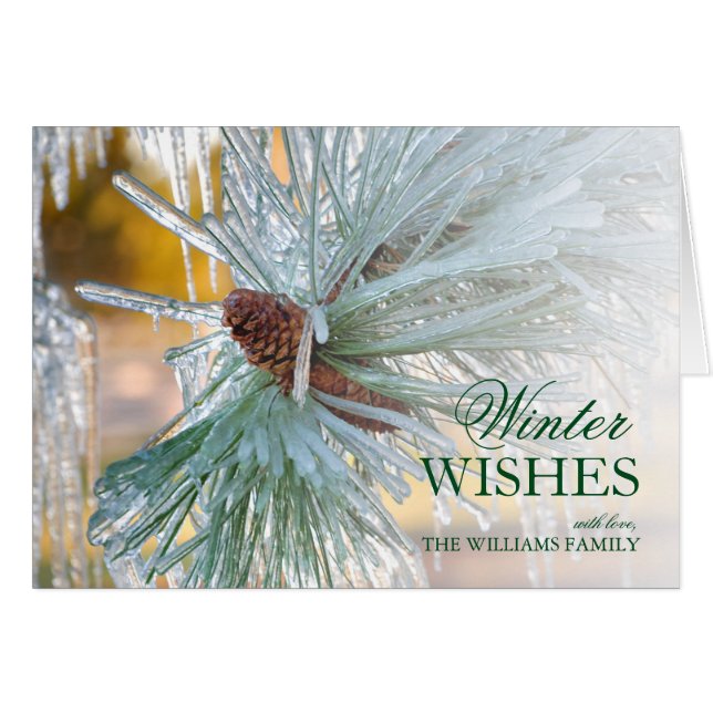 Pine needles Encased in Ice (Front Horizontal)