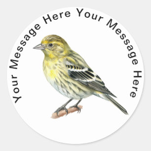 Pine Siskin stickers