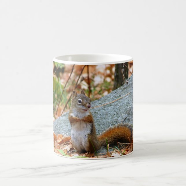 Pine Squirrel Coffee Mug (Center)
