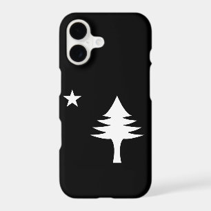 Pine tree and star 1901 flag of Maine State