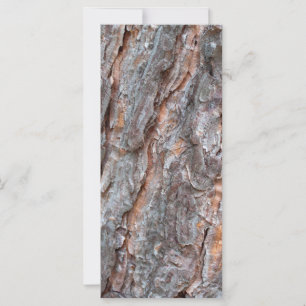 pine tree bark