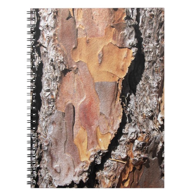 Pine Tree Bark Notebook (Front)
