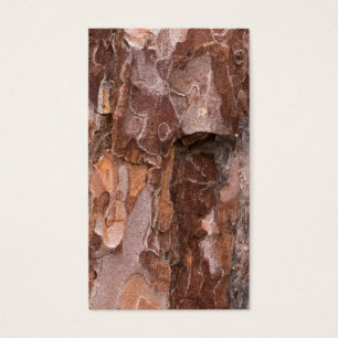 Pine tree bark texture