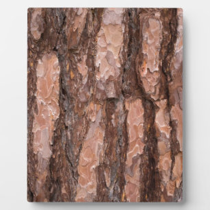 Pine tree bark texture plaque