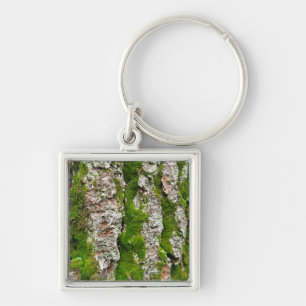 Pine Tree Bark With Moss Key Ring