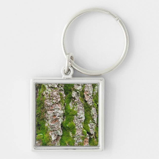 Pine Tree Bark With Moss Key Ring (Front)