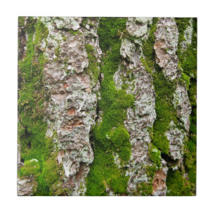 Pine Tree Bark With Moss Tile