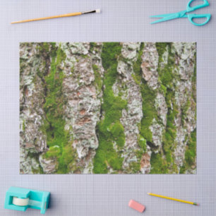 Pine Tree Bark With Moss Tissue Paper