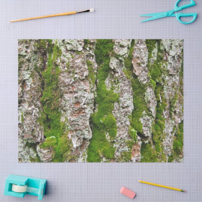 Pine Tree Bark With Moss Tissue Paper (Craft)