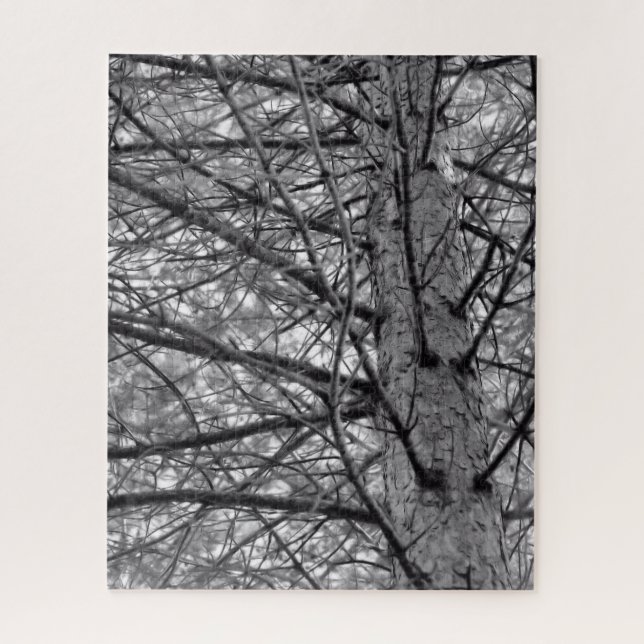 Pine Tree Branches in Black and White Jigsaw Puzzle (Vertical)