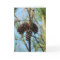 Pine Tree Card