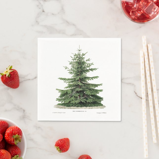 Pine Tree Christmas Holiday Dinner Party Napkins (Insitu)