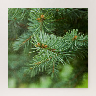 Pine tree closeup jigsaw puzzle