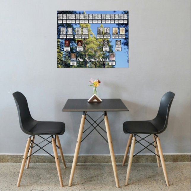 Pine Tree Forest Photo 2 Family Trees  Poster (Creator Uploaded)