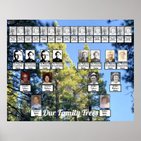 Pine Tree Forest Photo Two Family Trees