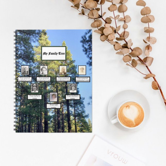 Pine Tree Forest Three Generation Family Tree Notebook (Creator Uploaded)