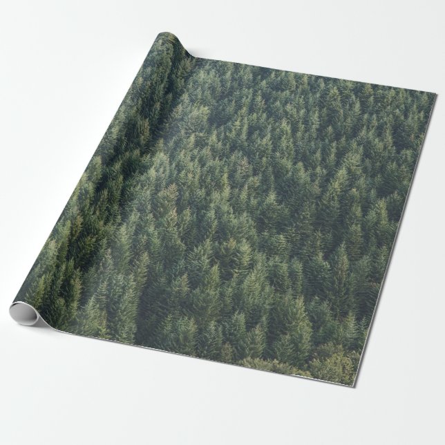 PINE TREE FOREST WRAPPING PAPER (Unrolled)