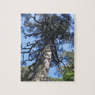 Pine Tree in Blue Sky, Palanga, LITHUANIA - Jigsaw Puzzle
