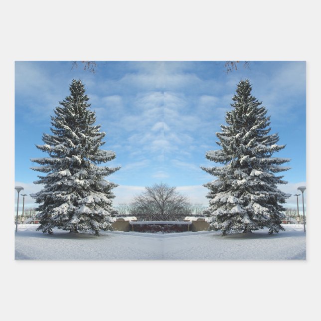 Pine Tree in Snow wrapping paper (Front)
